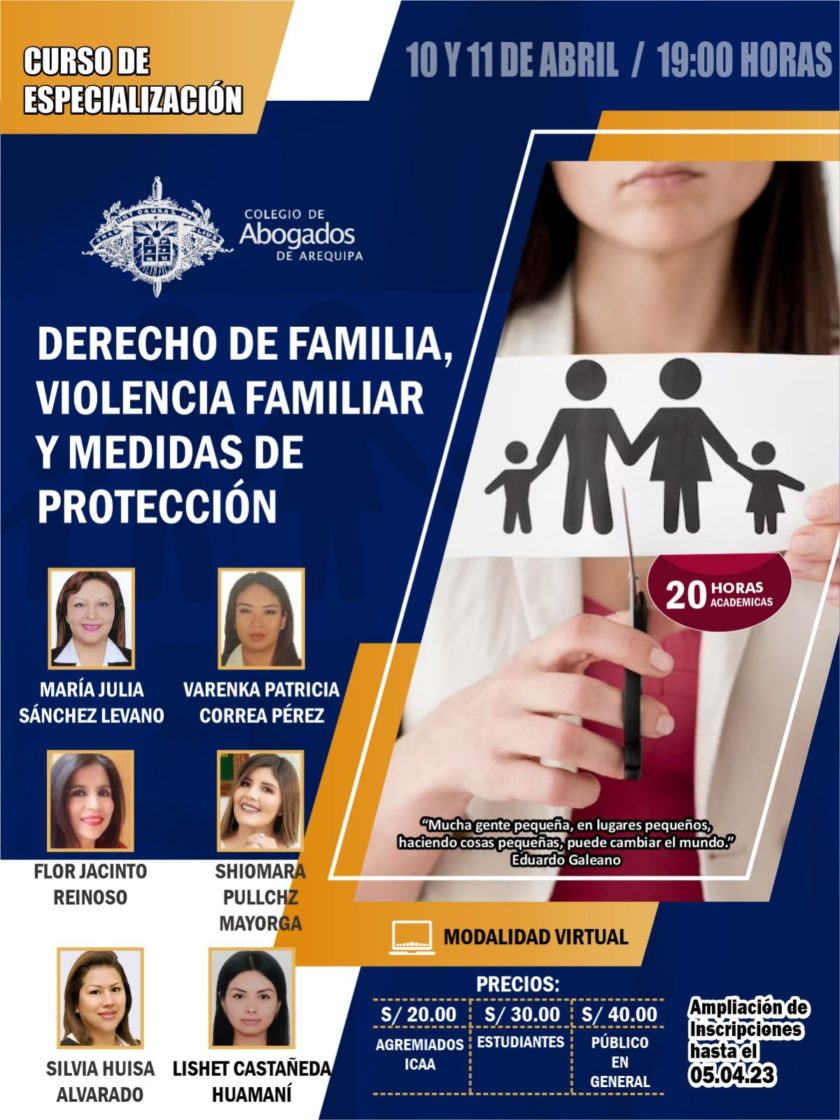 CURSO DE ESPECIALIZACIÓN EN DERECHO DE FAMILIA, VIOLENCIA FAMILIAR Y ...